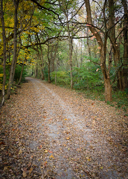 Mounds State Park fall trail