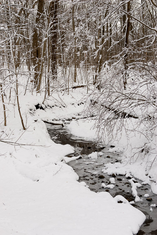 Winter path, Indiana